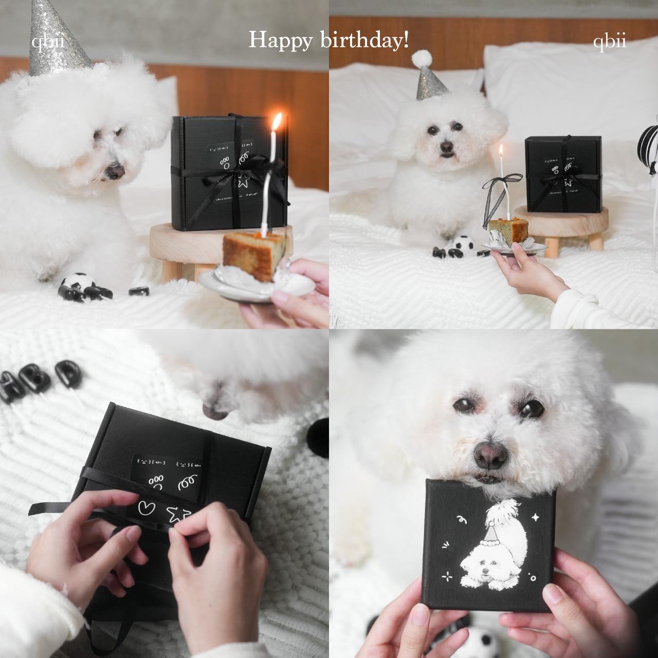 ꒰ qbii ꒱ 寵物肖像畫