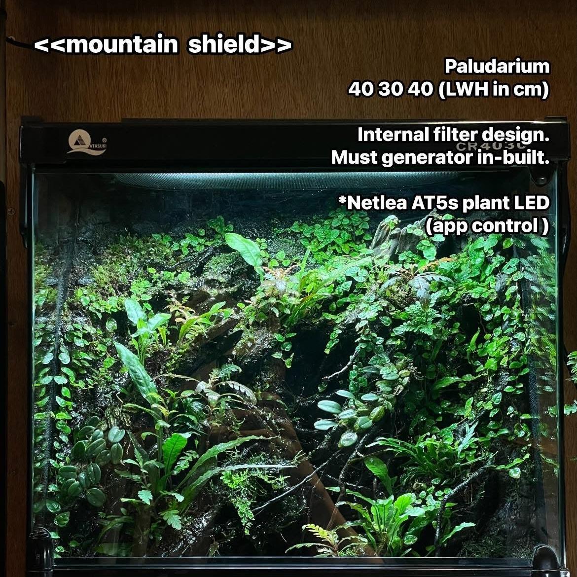 MeP Lab paludarium 水陸缸