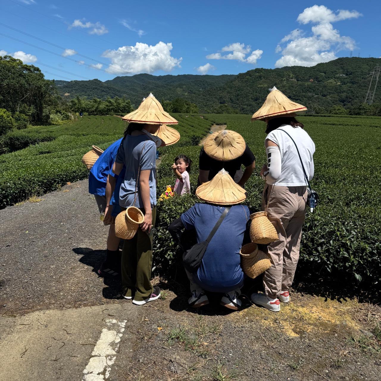 三立iNEWS 《吃貨請跟上》茶行四代拚創意 茶入燒餅蛋黃酥  茶裡相逢