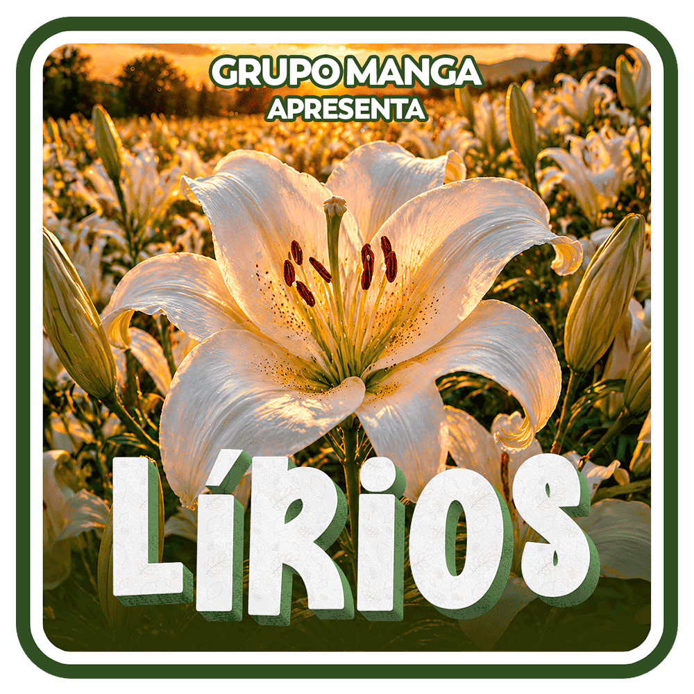 https://www.mango-lirios-pg.com