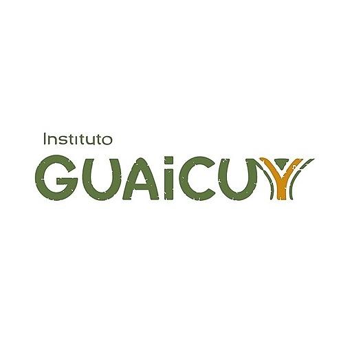 Instituto Guaicuy