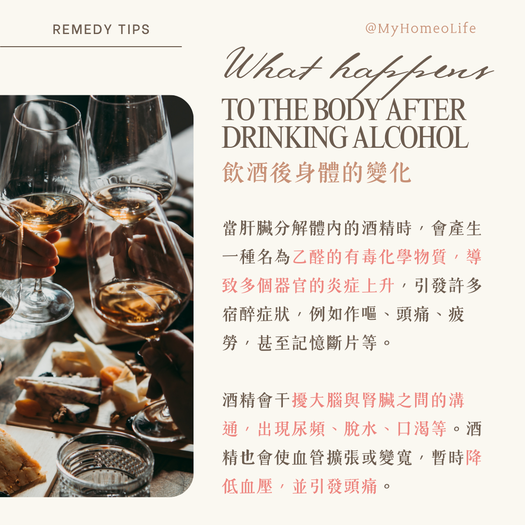 順勢療法 馬錢子 Nux-v  宿醉 解酒