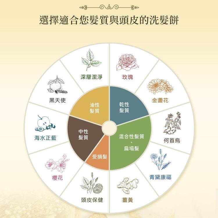 陳怡安手工皂-洗髮餅 如何挑選適合自己的洗髮餅？