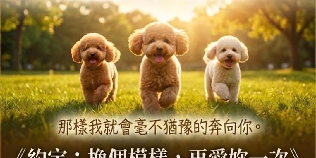 彤彤｜樂皮萌寵樂園 945AI 第一屆創作大賽AI 寵物組【金冠獎】: 約定換個模樣，再愛妳一次