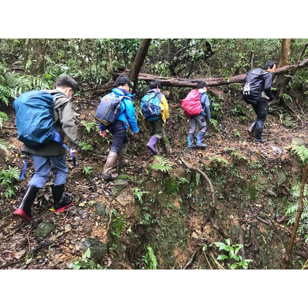 《專訪》華德福戶外引導師：玩，是看起來不像學習的學習