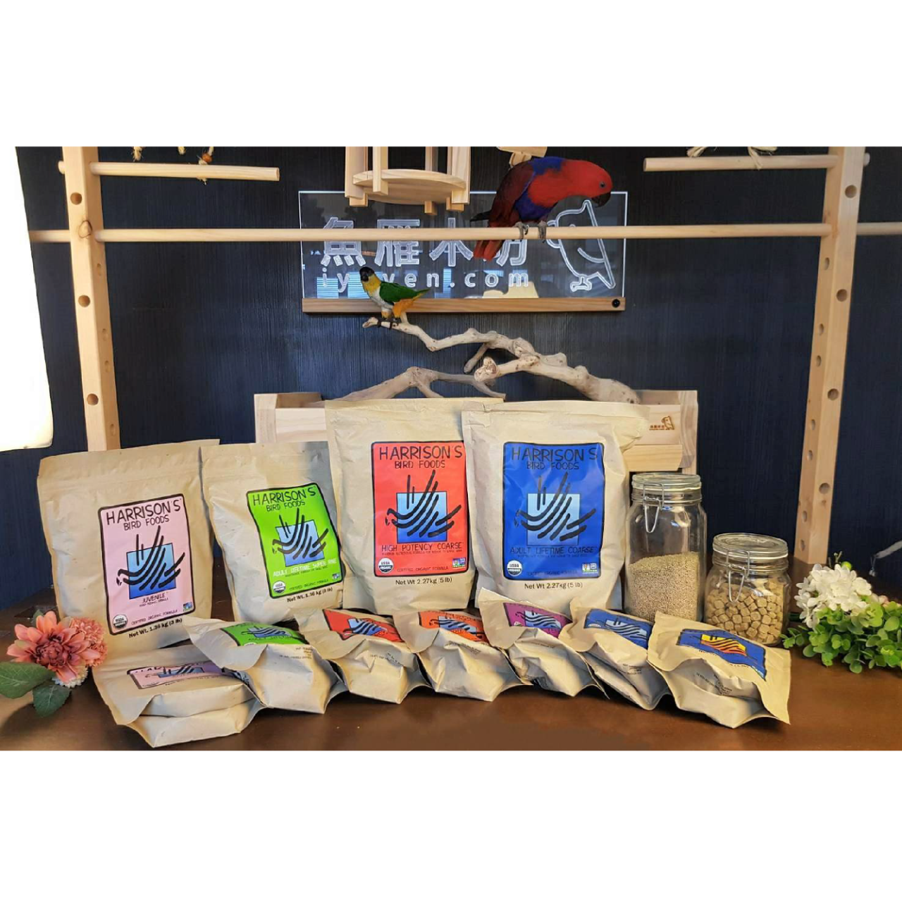 魚雁木坊│鸚鵡寄宿x站台玩具 飼料/奶粉/滋養丸