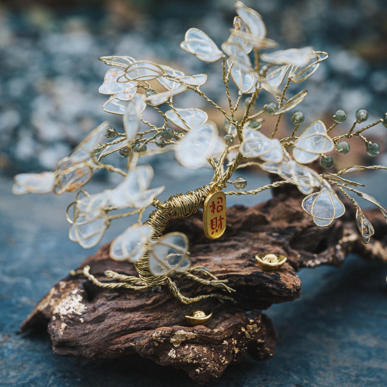 好運樹樹來課程-台北常態