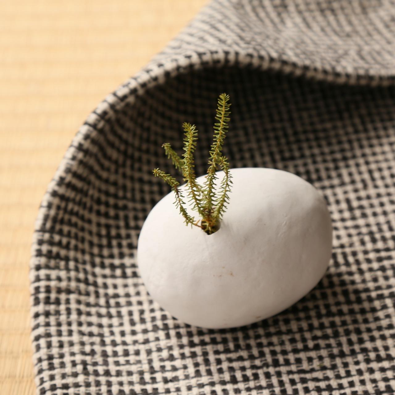 赤窯Redd Pottery 文化大學-手捏陶