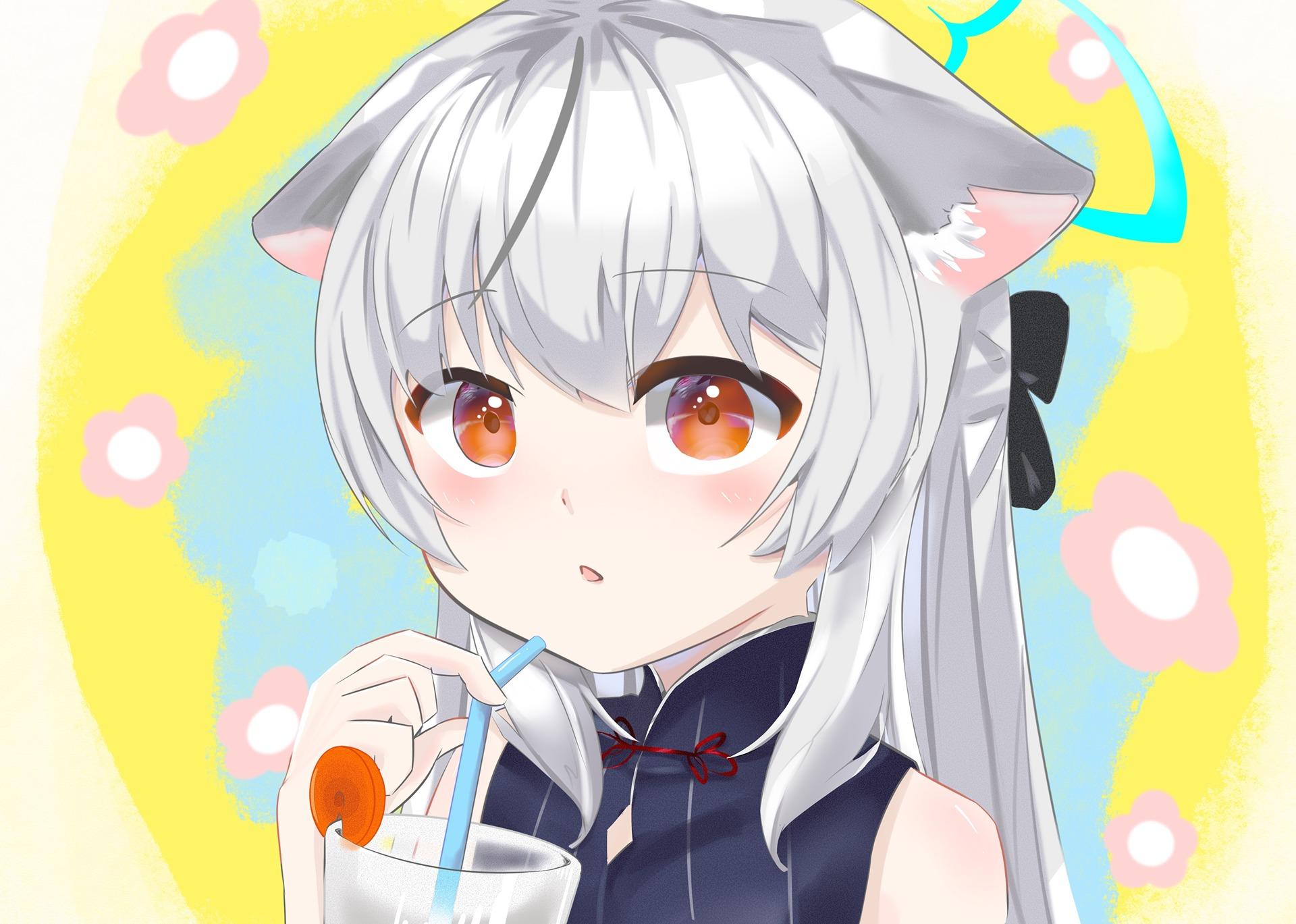 豆豆桑 BlueArchive