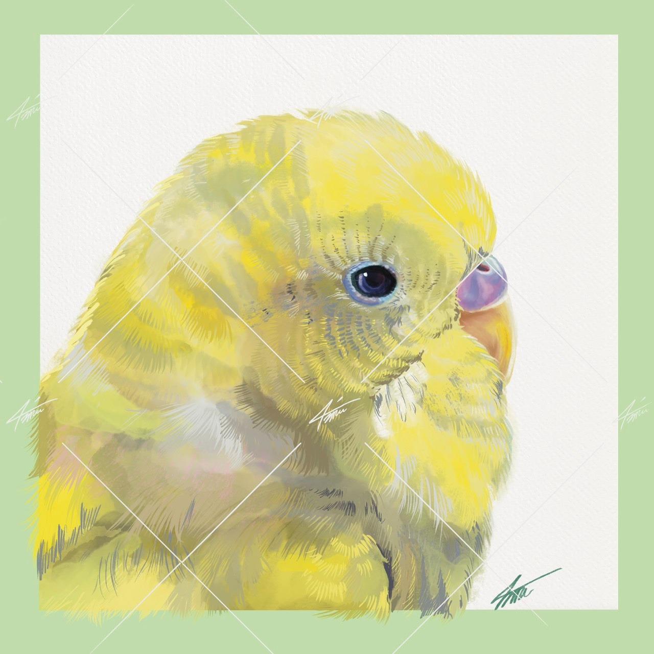 戴圍兜兜的貓 מּ ≋𝒞𝓵𝓪𝓾𝓭𝓲𝓪 𝓛𝓲𝓷 ৲ 4𝓶𝓾 ≋ 2048x2048，300dpi，CMYK