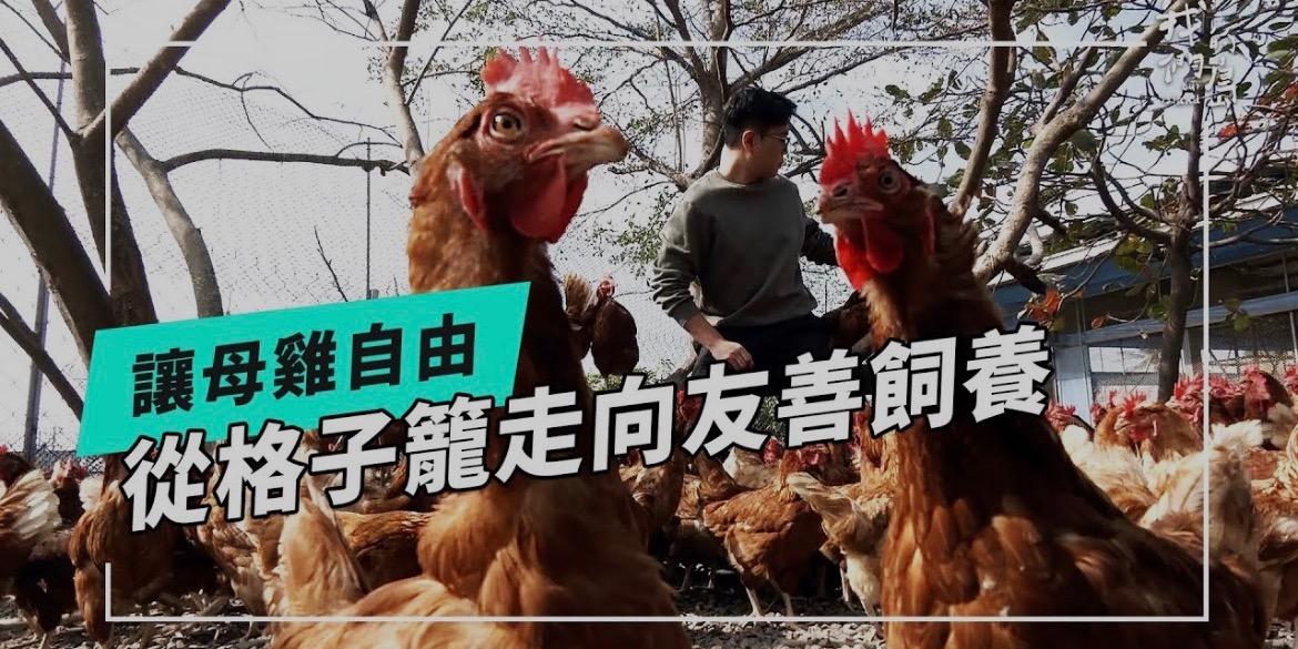 季嵐搜臺灣 🍳彰化人道蛋牧場地圖