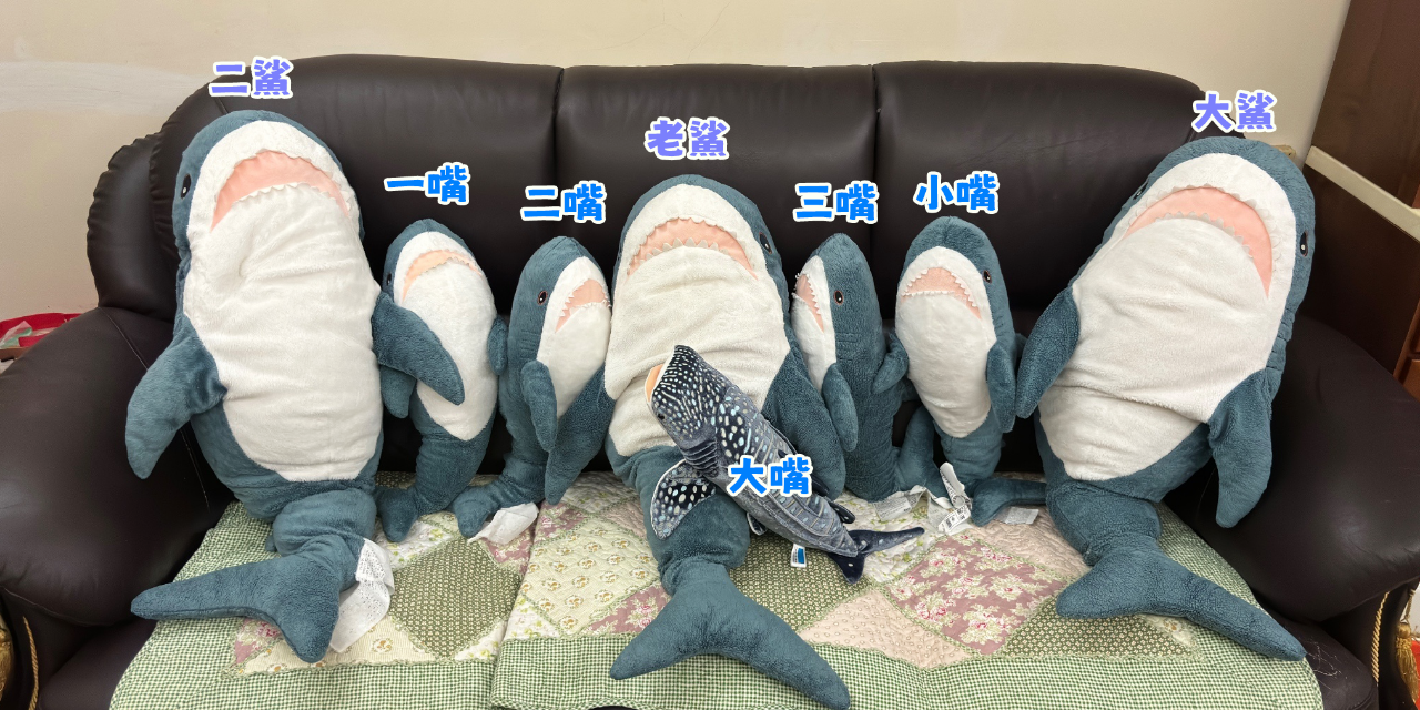 Rio｜利央｜りお 鯊魚們