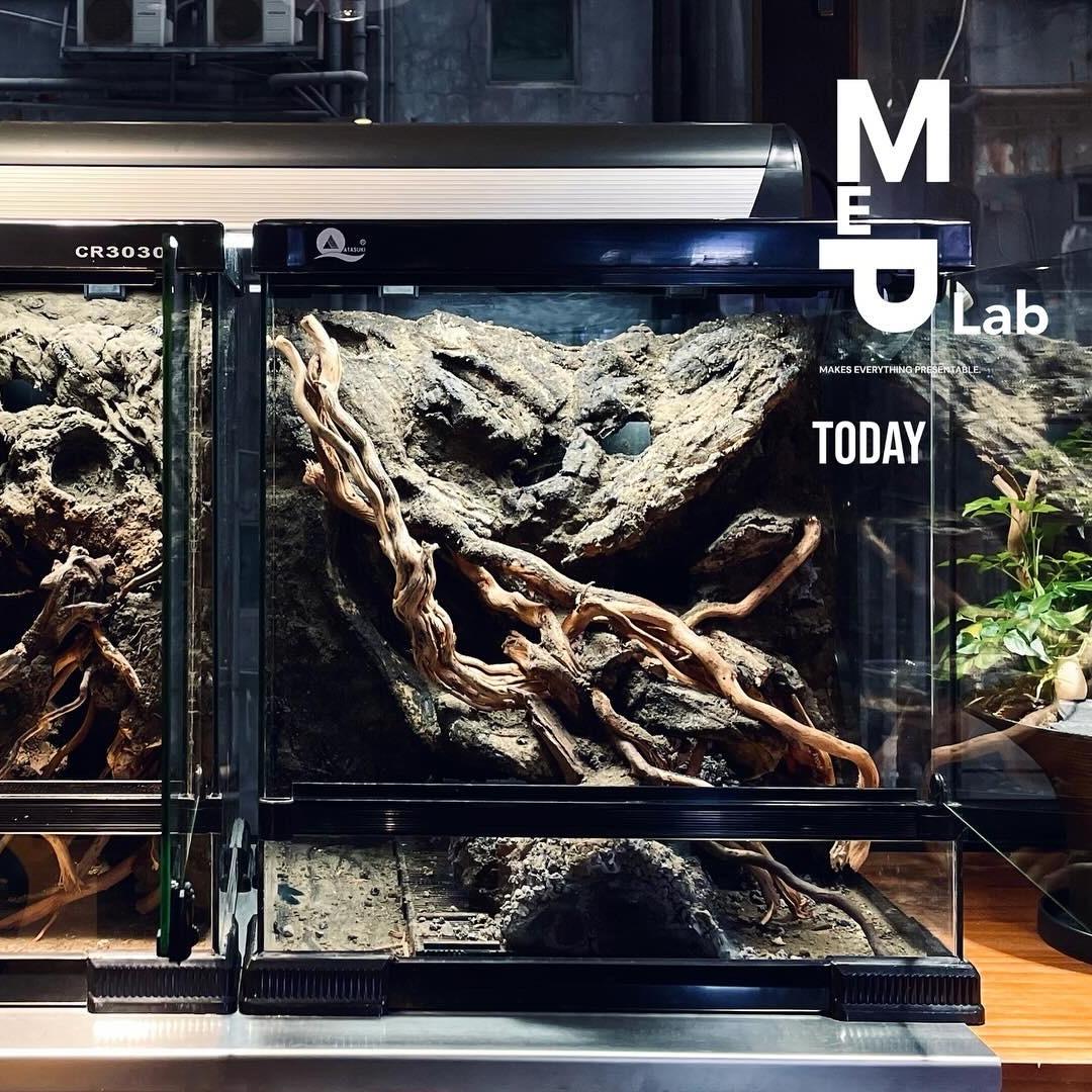 MeP Lab