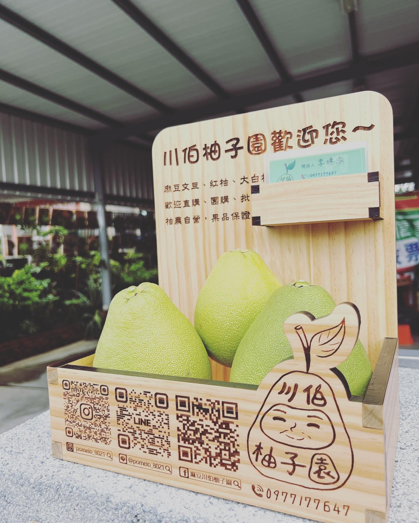 麻豆川伯柚子園 2024川伯家-柚子開放訂購嘍～～