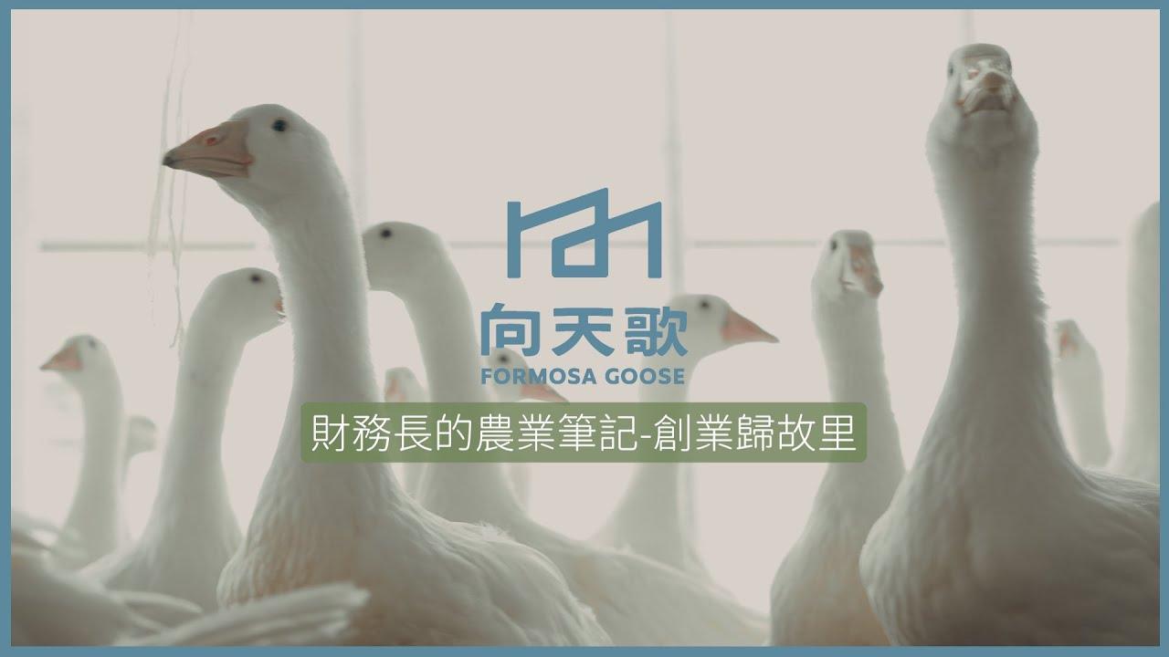 向天歌創新農業 財務長的農業筆記3