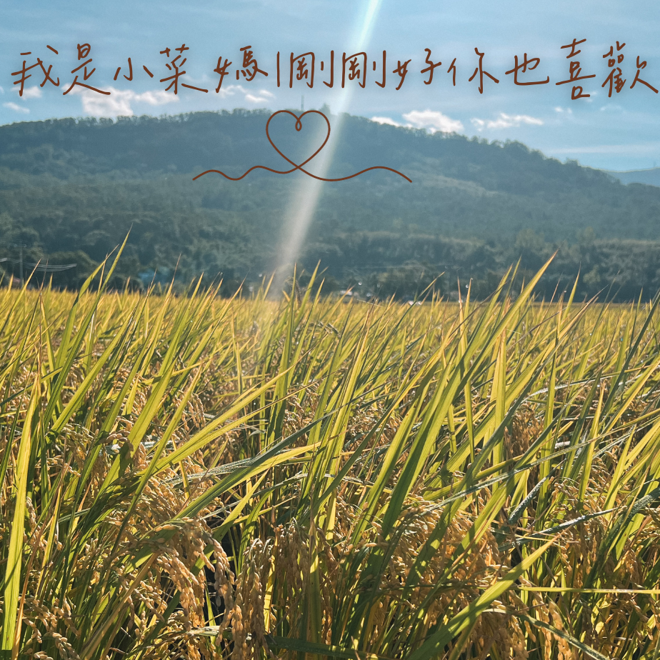 我是小菜媽 我是小菜媽