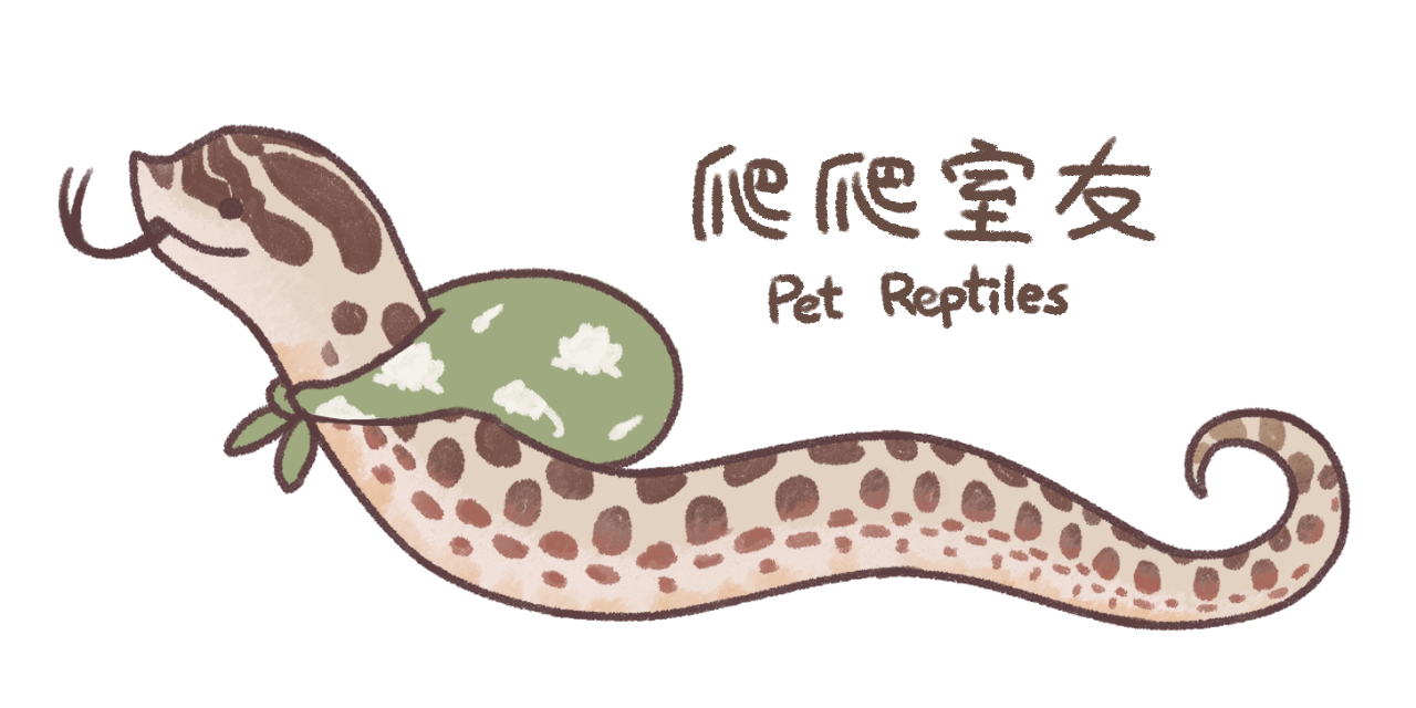 ChubbyDeer 胖鹿鹿