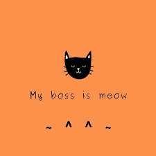 @mccc_hk My boss is meow