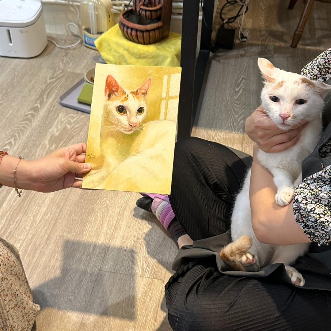 遠眺工作室 Overlook Studio 2025.8.23-2026.8.25, 日巷貓旅