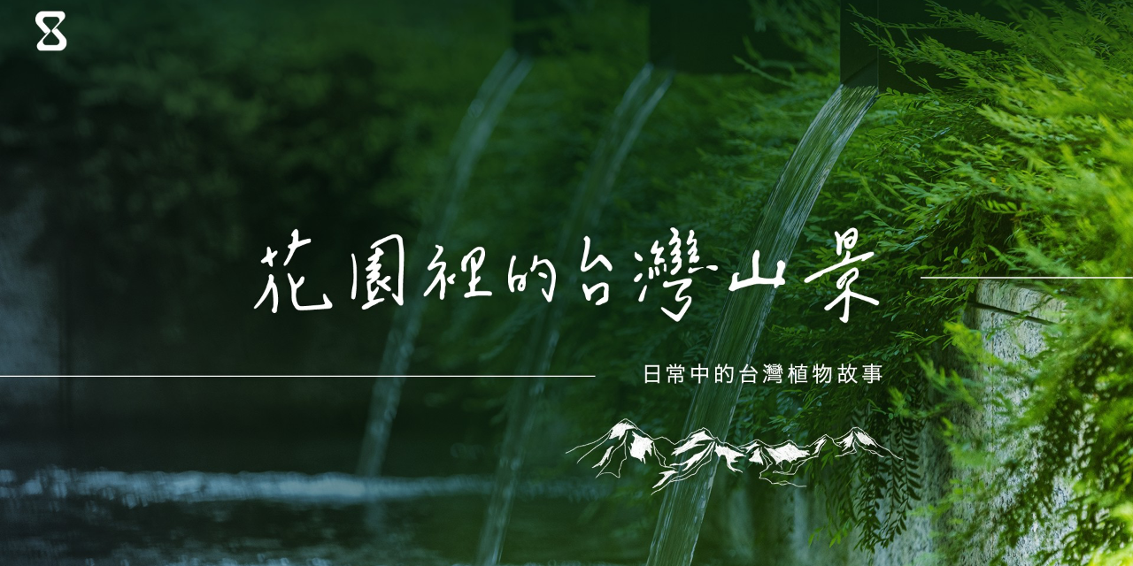 雪羊視界 Vision of a Snow ram 日常台灣樹木故事