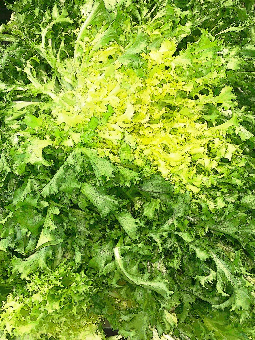 森活市，法芙頌即溶菊苣粉