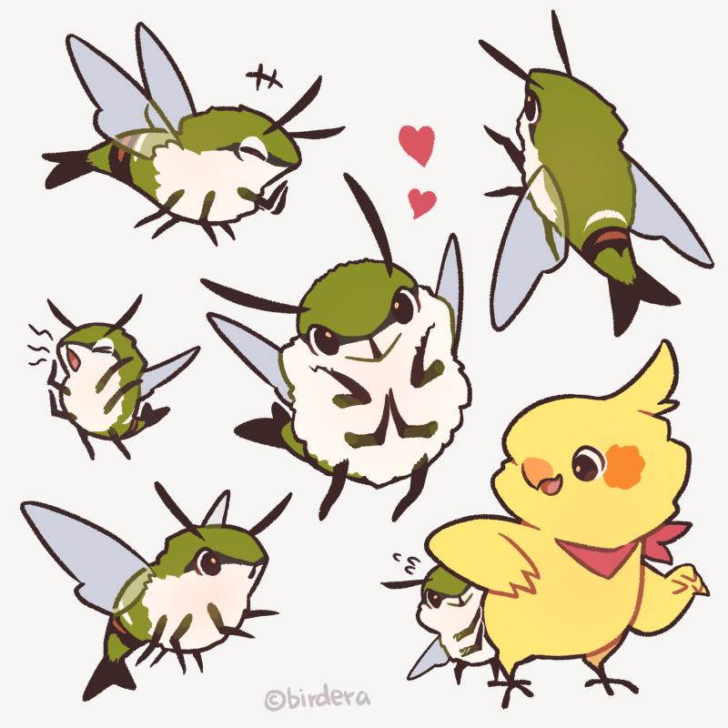 【 BIRD ERA 鳥時代 】