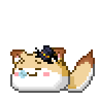 B站