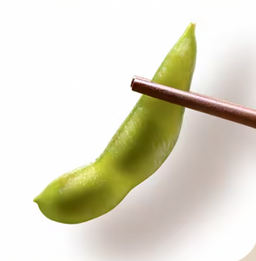 12/8～12/11 食時樂 毛豆😋