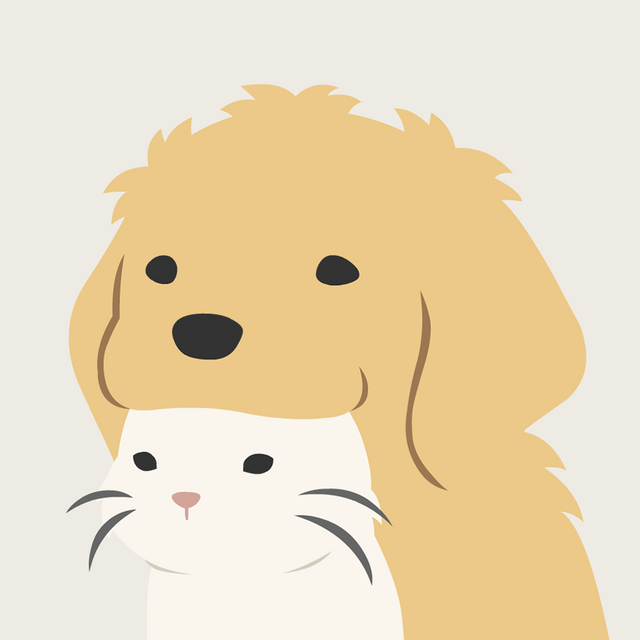 紐約狗狗 kesanitw