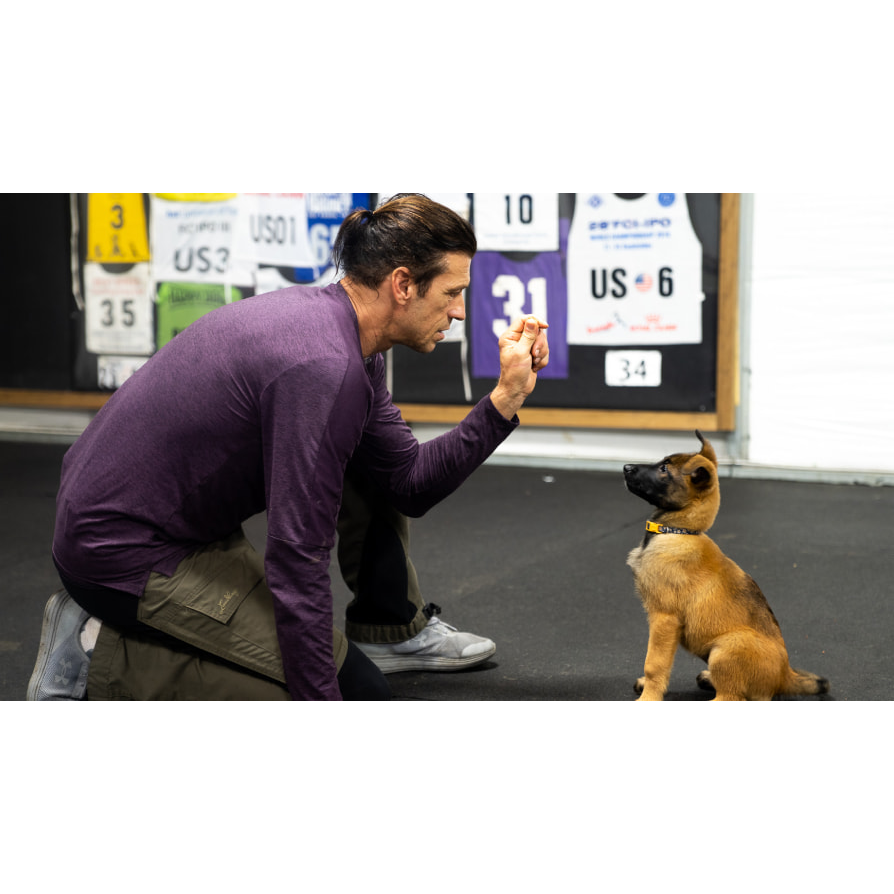 狗狗訓練師 訓犬師 寵物訓練師