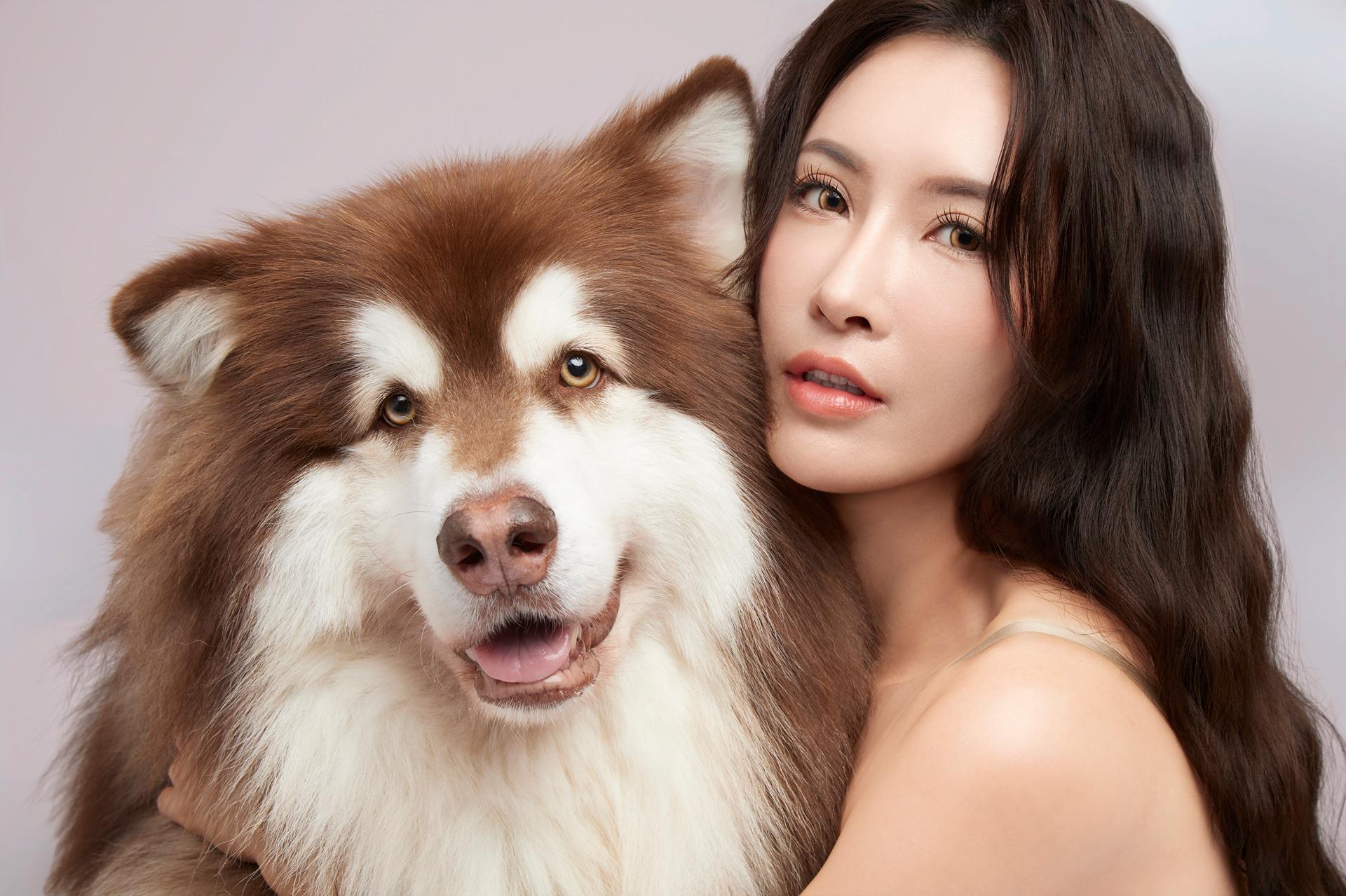 【 期間限定 】寵物寫真祭 81折起｜消費送凍乾，再抽 $4500寵物食品大禮包