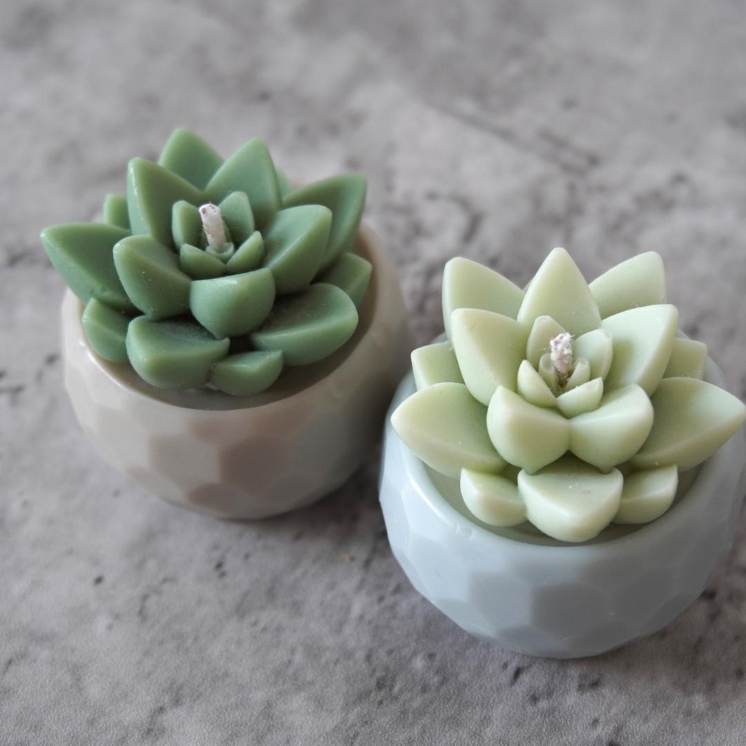 Urban Botany Handcrafted Pot Succulent Candle