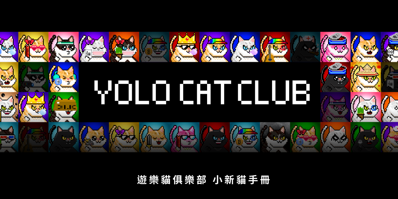 YOLO Cat Club 想加入必看