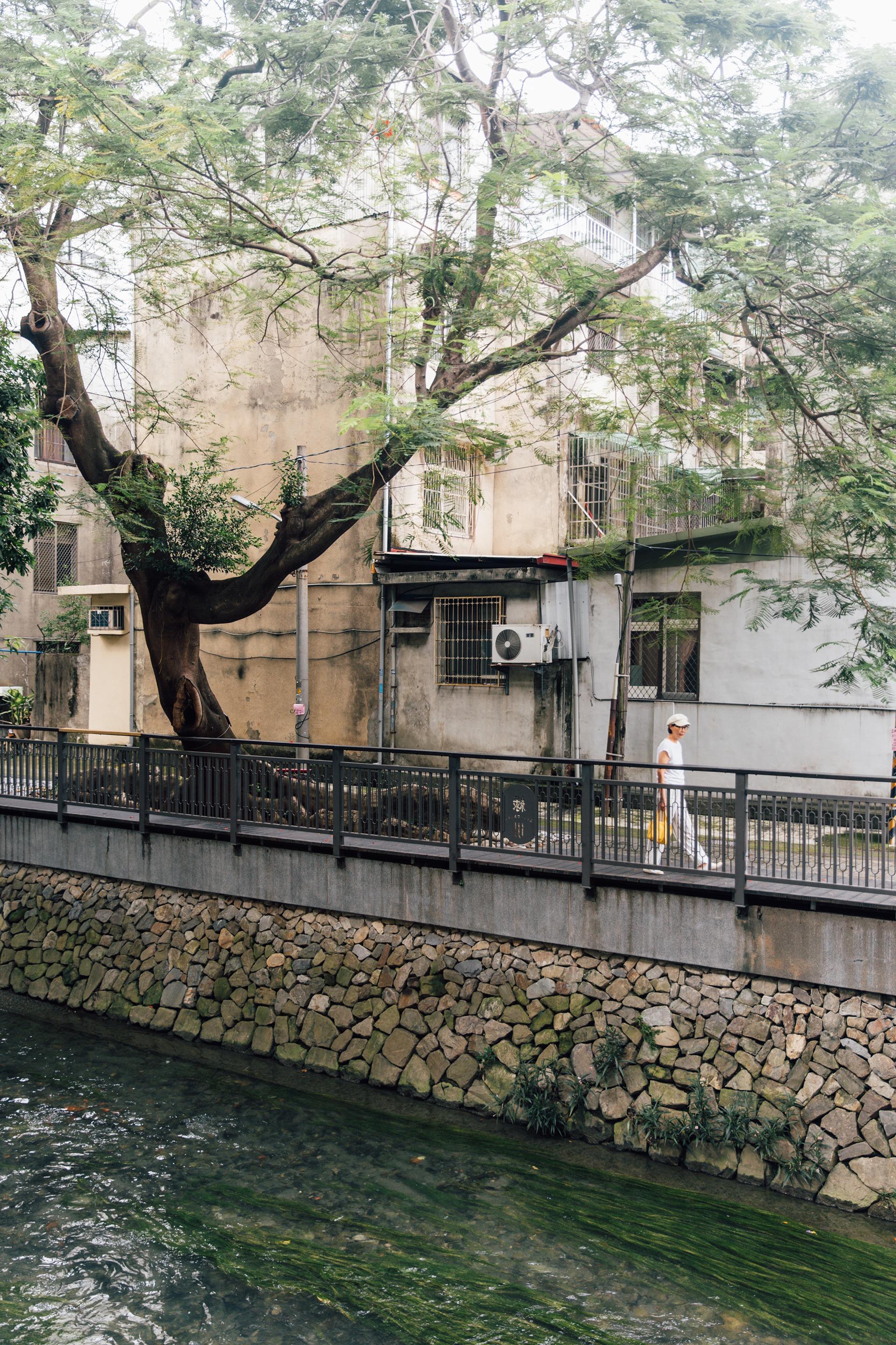 3/15（日）城區場｜中央書局