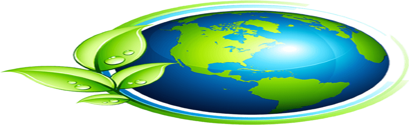 Eco-Friendly Cleaning Services in Seattle