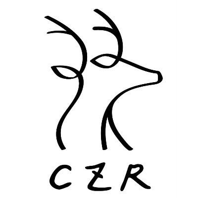若央 🍖 CZR 騎隻鹿