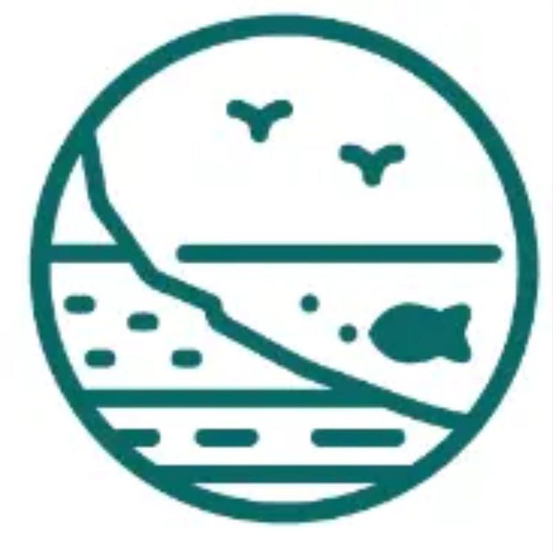 桃山神木｜撞到月亮的樹