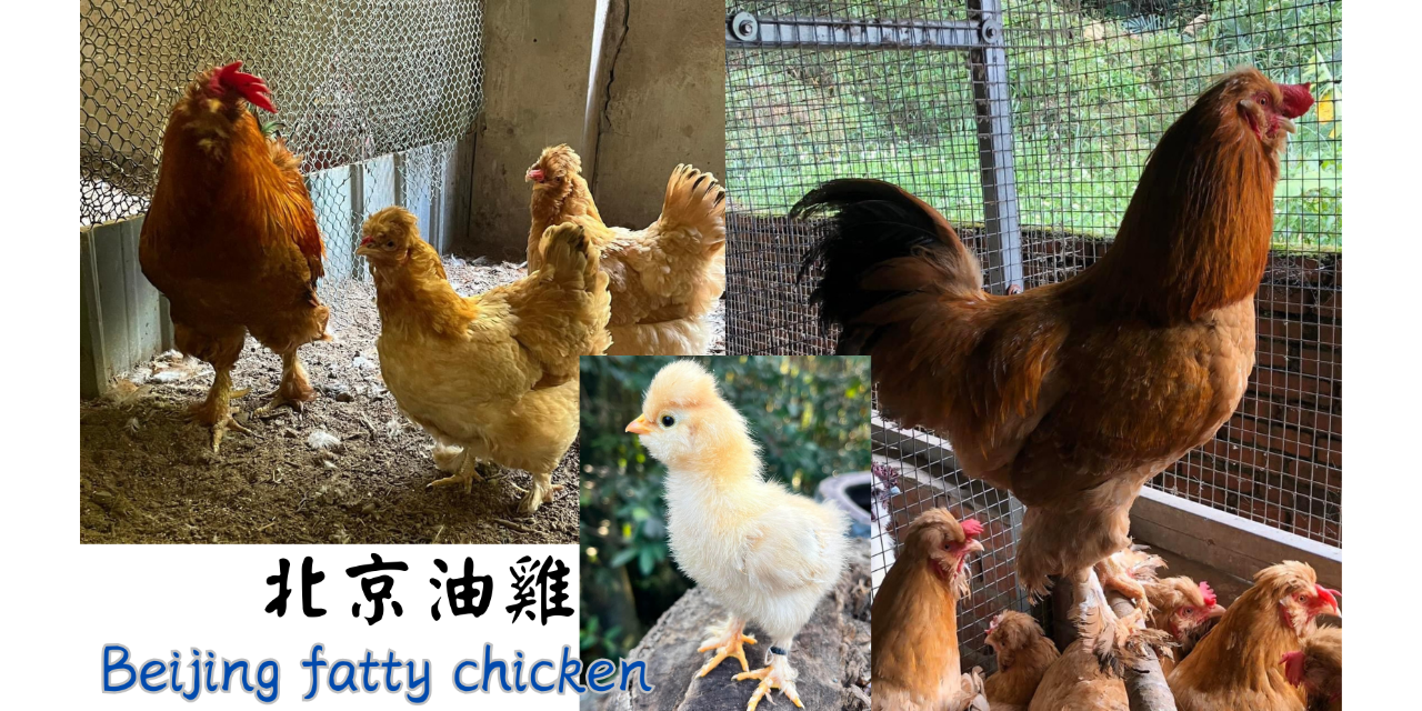 姐夫農場