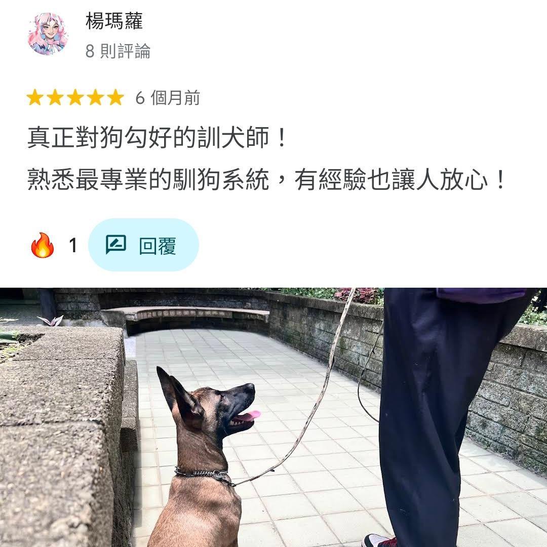 如何訓練你的狗-湯頭拔 狗狗訓練師 訓犬師 寵物訓練師