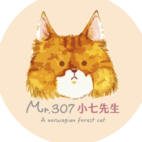 Mr.307 小七先生