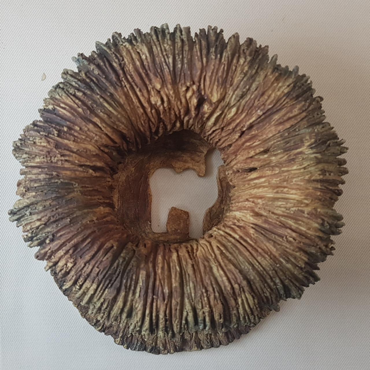 奇異點系列 駱駝、獅子、嬰兒。世界不斷循環，回歸到「嬰兒」最純淨的狀態。