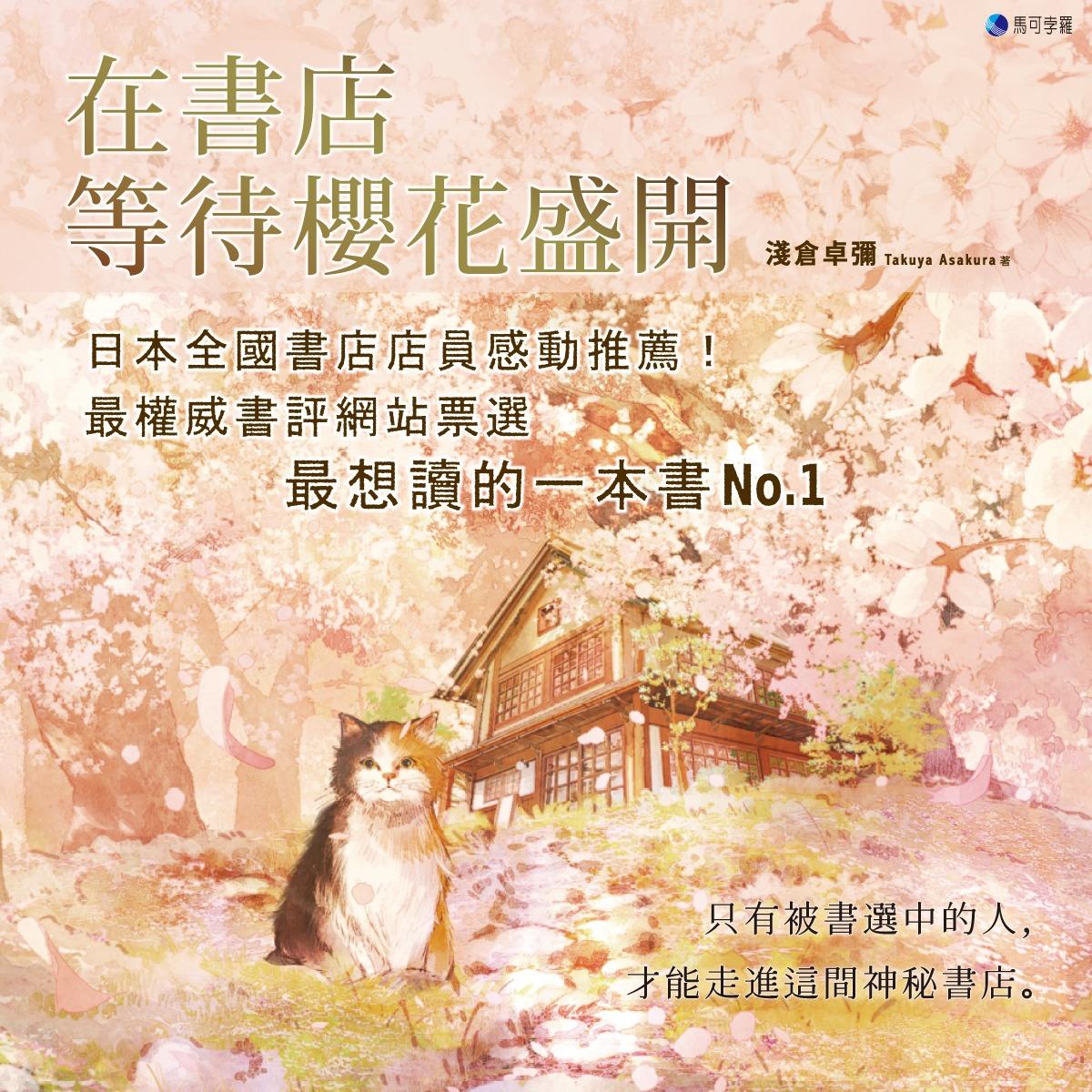 在書店等待櫻花盛開