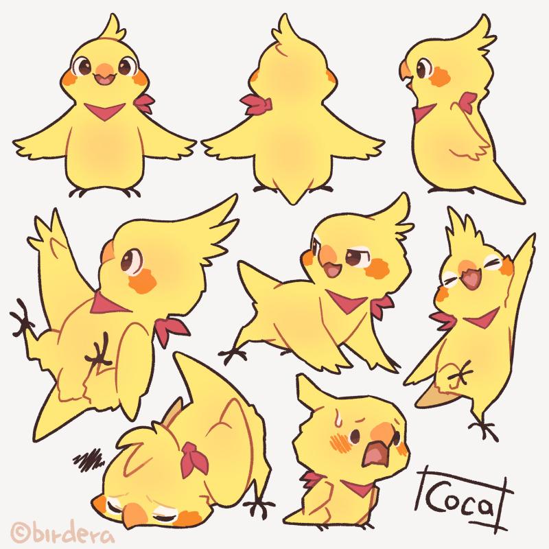 【 BIRD ERA 鳥時代 】