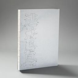香港作者王木木獨立出版《逃島》新書預購