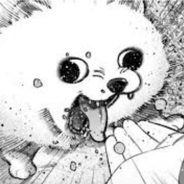 田子犬