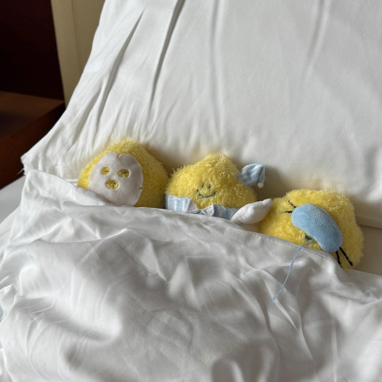 ⁺◟ 歡迎成為小Light打 ⁺◟♡² Time to sleep超可愛檸檬 盲盒