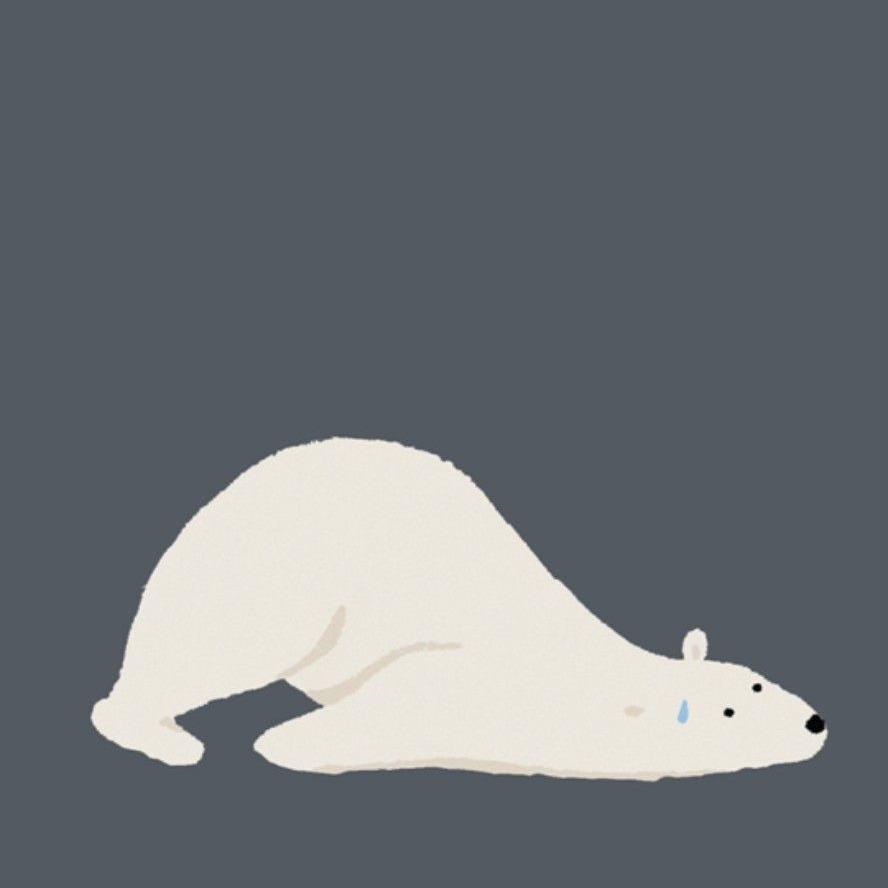 CaFi兒童故事書 北極熊