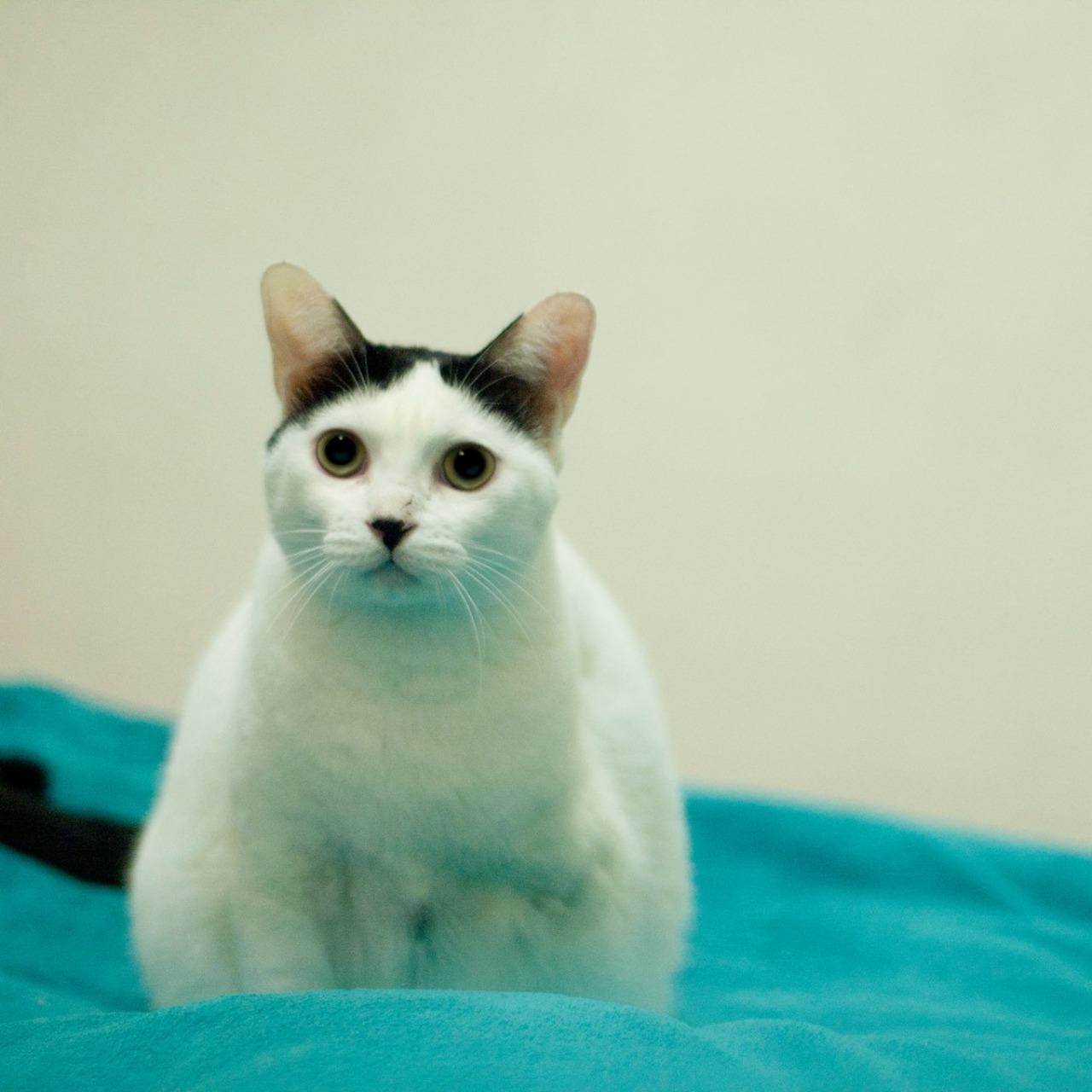 三隻腳民宿 | 馬祖南竿推薦民宿