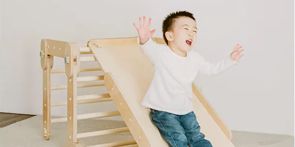 豬豬隊友 Scott & Wendy Happymoon 攀爬架|12/28 結團