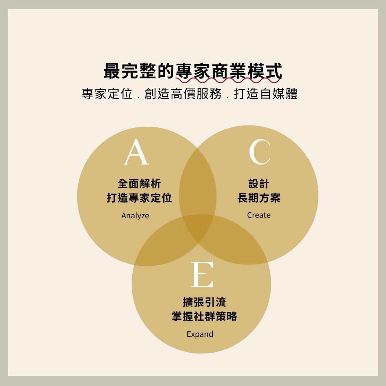 ACE專業變現系統